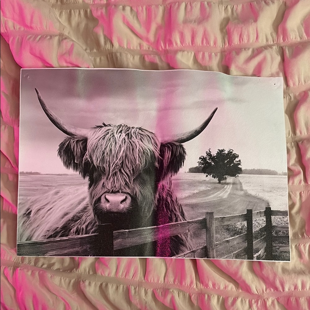 Highland Cow Art Print